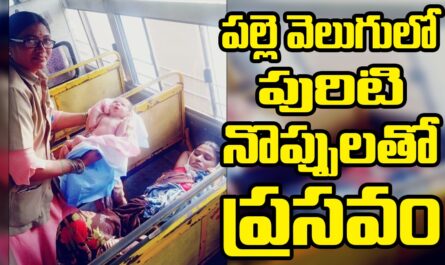 Female Delivery in RTC Bus