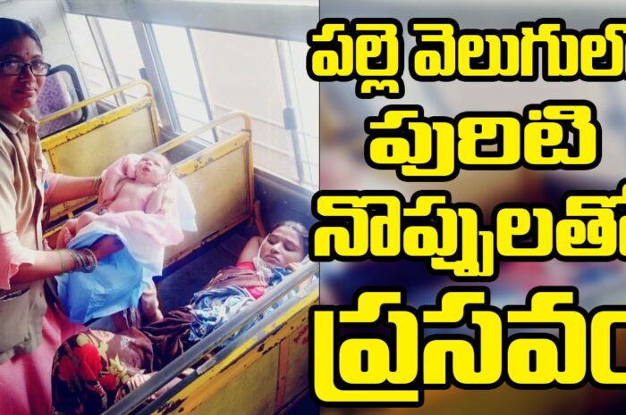 Female delivery in RTC Bus: ఆర్టీసీ బస్సులో ఆడబిడ్డకు జన్మ