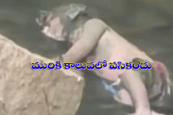 Nizamabad Crime: మురికి కాలువలో పసికందు మృతదేహం