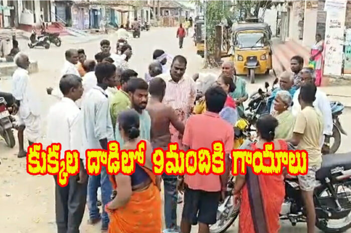 Attack Of Village Dogs: ఊర కుక్కల దాడిలో 9 మందికి గాయాలు