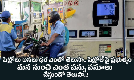 Petrol And Diesel Prices