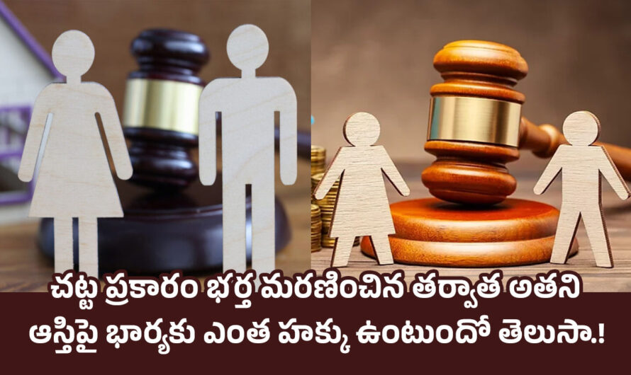 Property Rights: చట్ట ప్రకారం భర్త మరణించిన తర్వాత అతని ఆస్తిపై భార్యకు ఎంత హక్కు ఉంటుందో తెలుసా